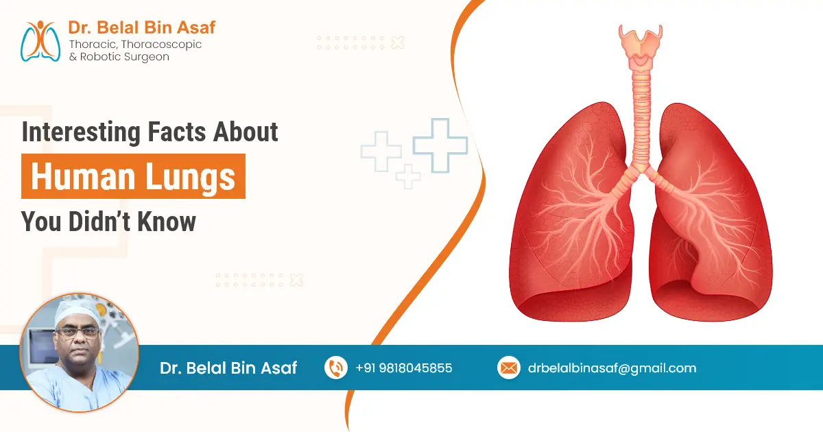 Interesting Facts About Human Lungs You Didn’t Know