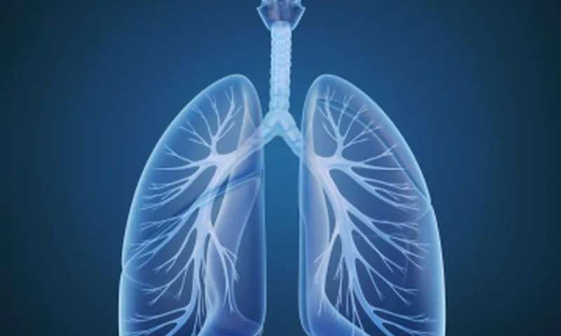 Best Lung Cancer Treatment Doctor in India